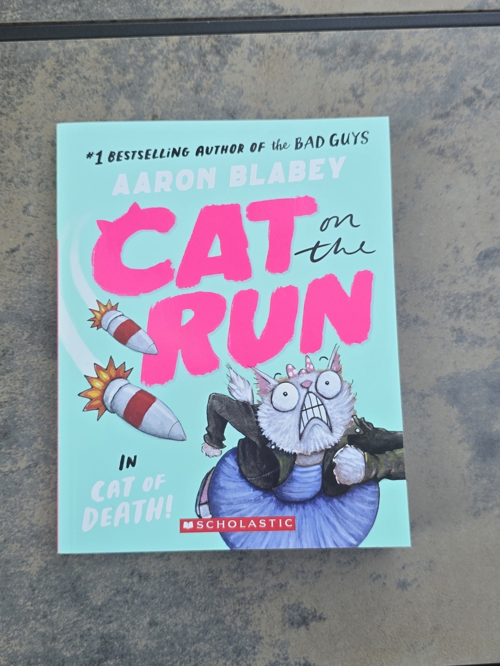 Scholastic Cat on the Run book